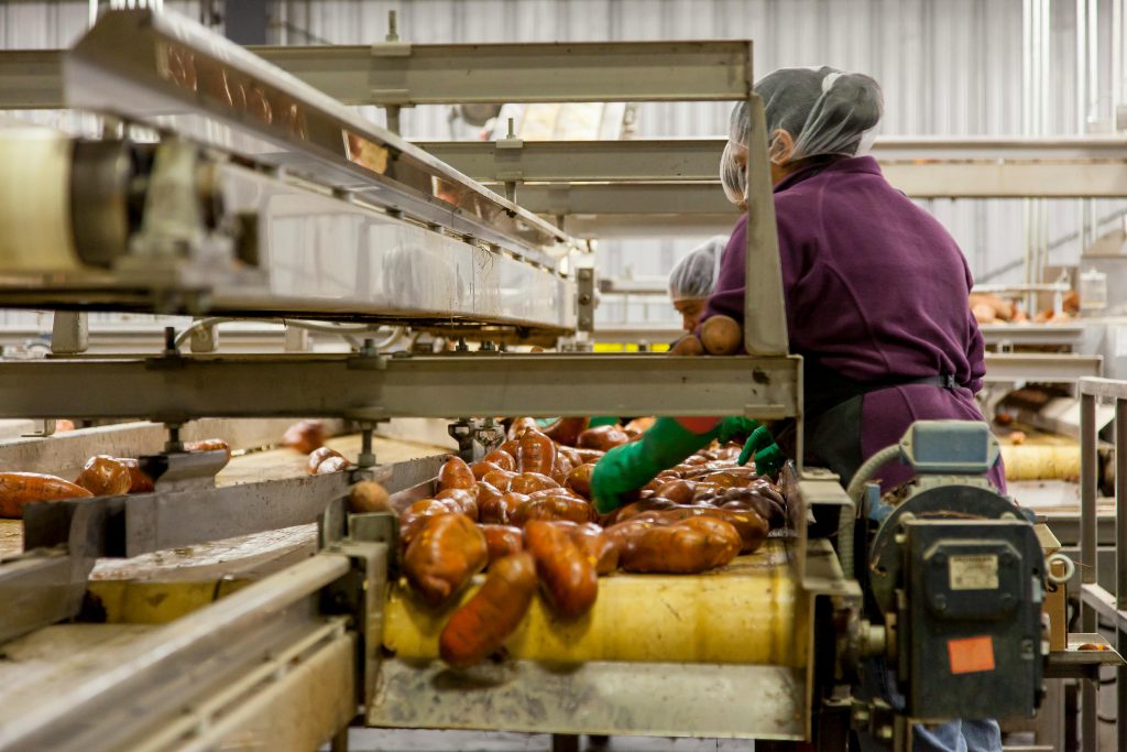 关于酶制剂在食品加工中使用的相关说明