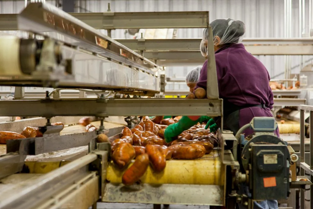 关于酶制剂在食品加工中使用的相关说明